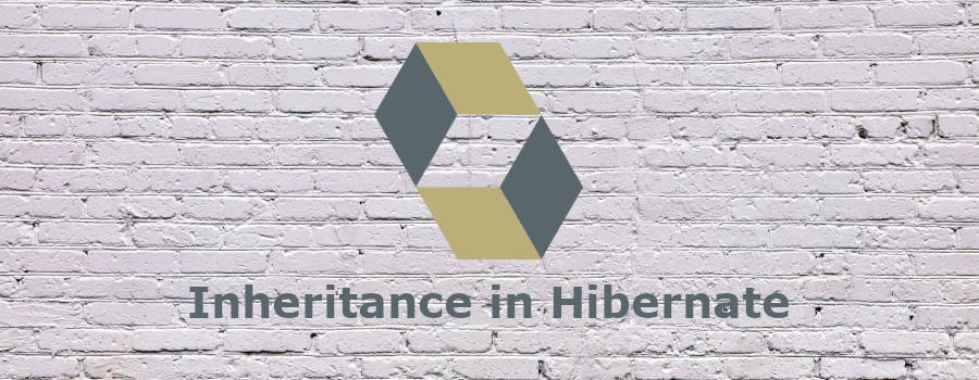 Hibernate discriminator on sale