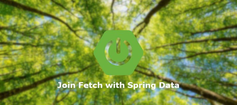 Spring Data Jpa Join Fetch Example