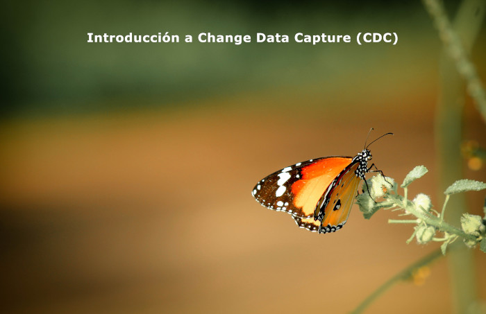 Introducción a Change Data Capture (CDC)